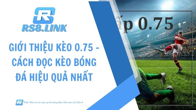 Giới thiệu kèo 0.75 - Cách đọc kèo bóng đá hiệu quả nhất