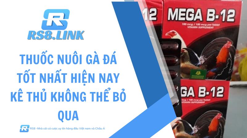 Thuốc nuôi gà đá tốt nhất hiện nay